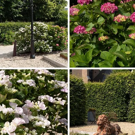 Vakantiewoning De Pastorie *