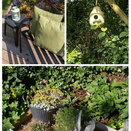 Vakantiewoning De Pastorie Apartamento