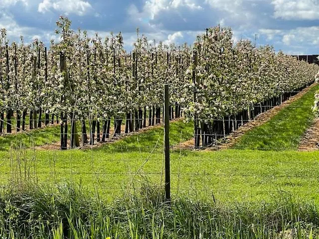 Vakantiewoning De Pastorie *