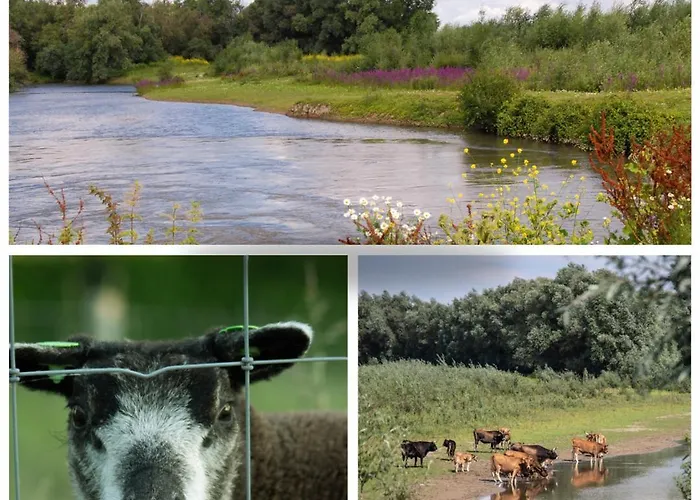 Vakantiewoning De Pastorie Daire *