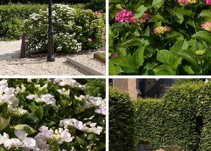 Vakantiewoning De Pastorie *