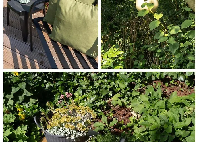 Vakantiewoning De Pastorie Daire