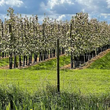 Vakantiewoning De Pastorie *