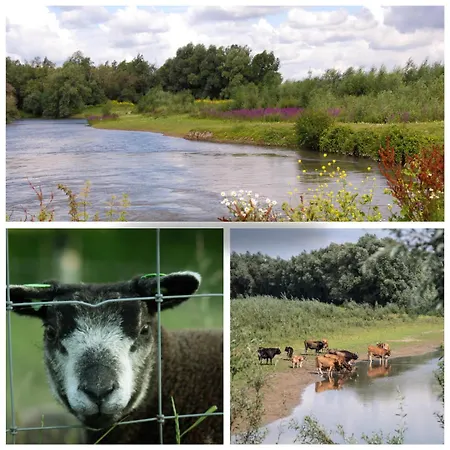 Vakantiewoning De Pastorie Lägenhet *